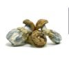 Blue meanies mushrooms for sale
