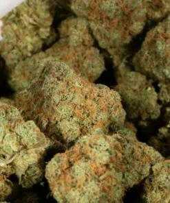 Girl Scout Cookies (AAAA)