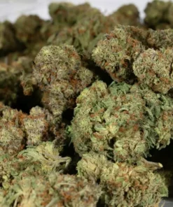 Skywalker OG (AAAA)