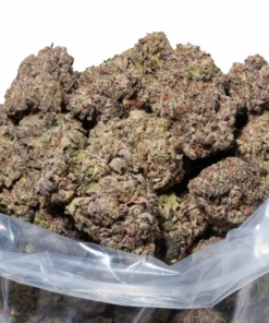 Apple Fritter (AAAAA/Craft)