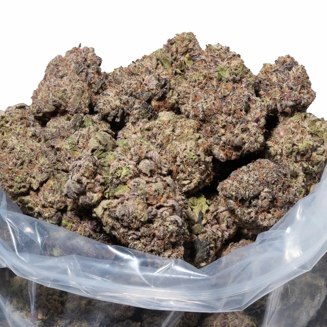 Apple Fritter (AAAAA/Craft)