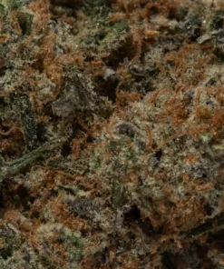 Kosher Kush (AAAA)