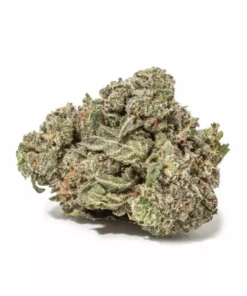 Northern Lights (AAAA)