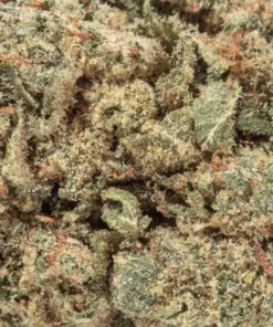 Tangerine (AA+)