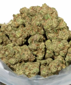 London Poundcake (AAAA+)