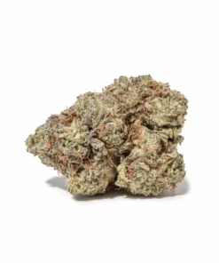 Lemon Tree
