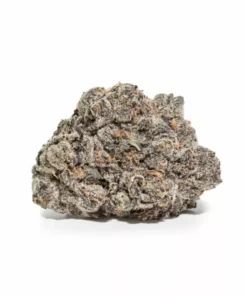 Sherbert (AAAA+)