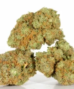 Girl Scout Cookies