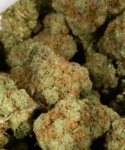 Girl Scout Cookies